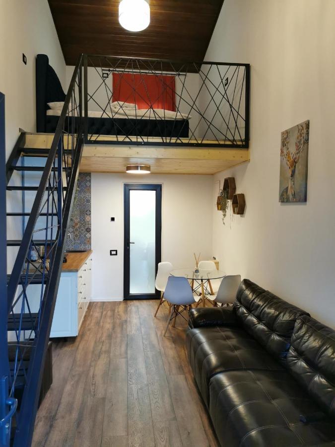 Kopel Haus - Studio - Self Acces Cod Location Balotesti Exterior photo